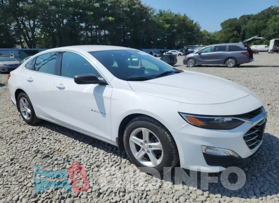 1G1ZB5ST5KF172264 Photo# 4