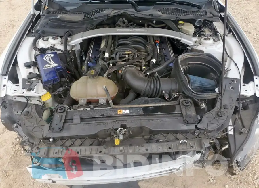 1FA6P8JZ3G5522271 Photo# 11