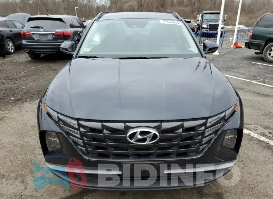 KM8JBCDE7RU276764 Photo# 5