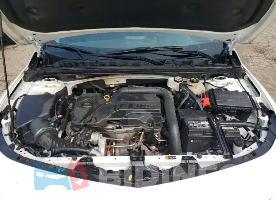 1G1ZD5ST1PF169475 Photo# 11