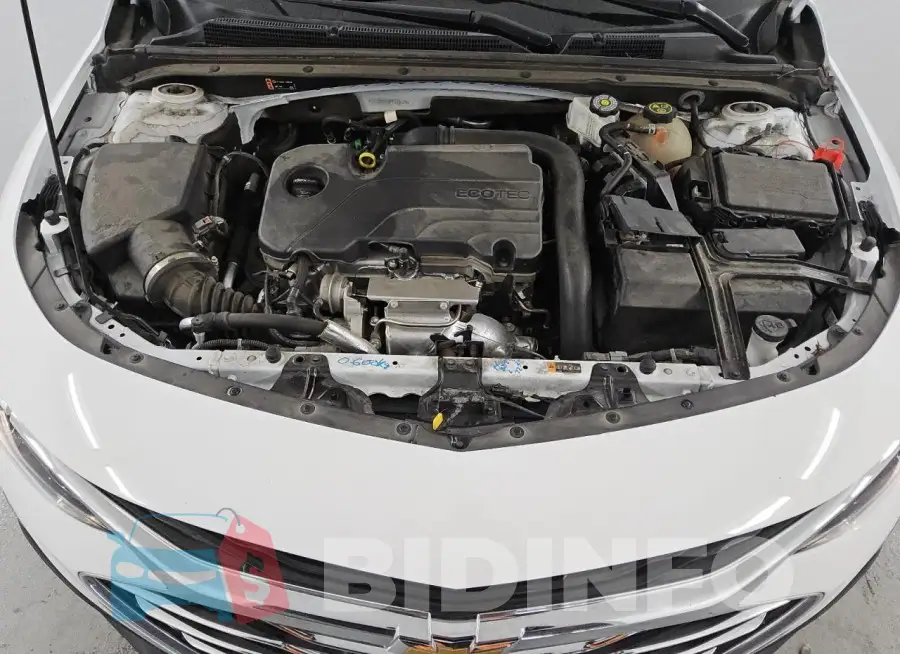 1G1ZD5ST6PF178124 Photo# 11