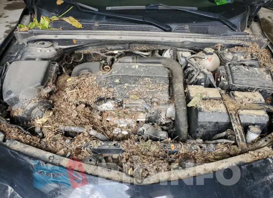 1G1ZD5ST8LF037470 Photo# 11