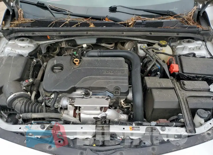 1G1ZD5ST8LF087320 Photo# 11