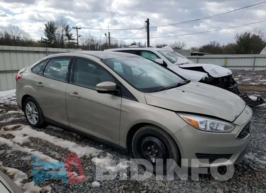 1FADP3F26GL206882 Photo# 4