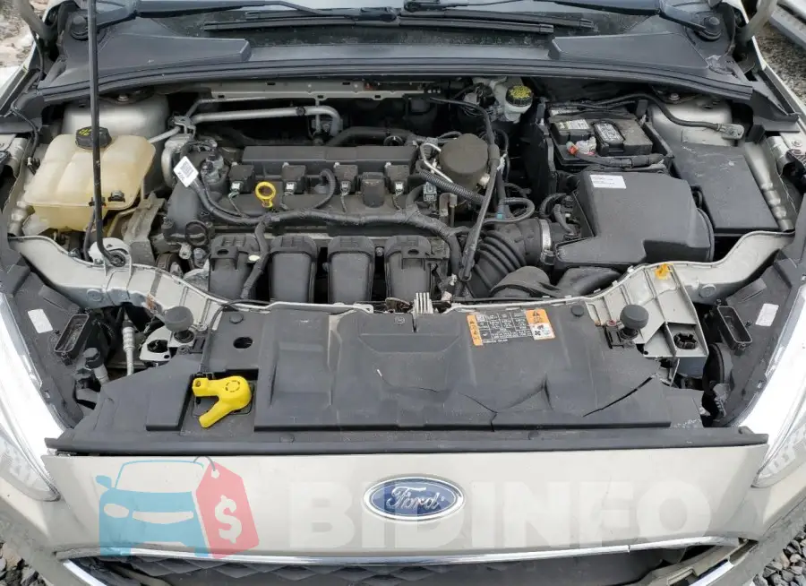 1FADP3F26GL206882 Photo# 11