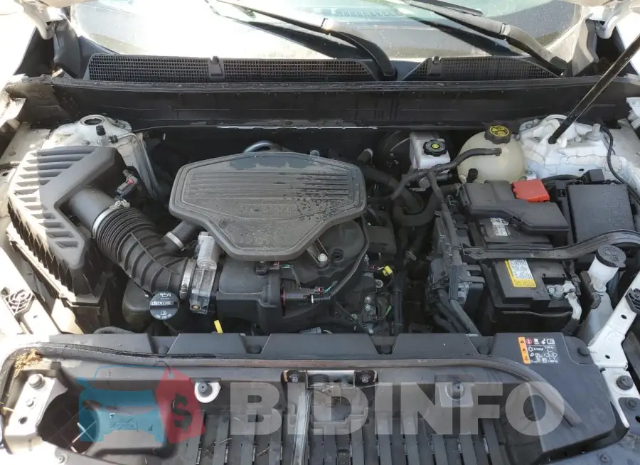 1GKKNRLS2MZ230382 Photo# 12