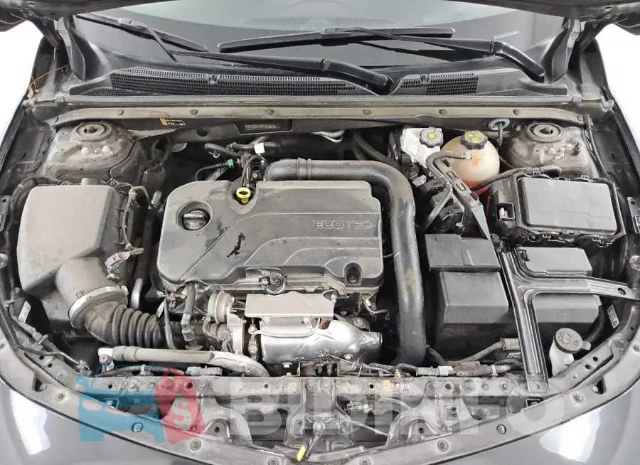 1G1ZD5ST0PF219816 Photo# 11