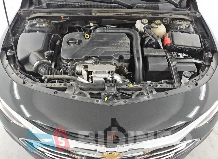 1G1ZD5STXPF191023 Photo# 11