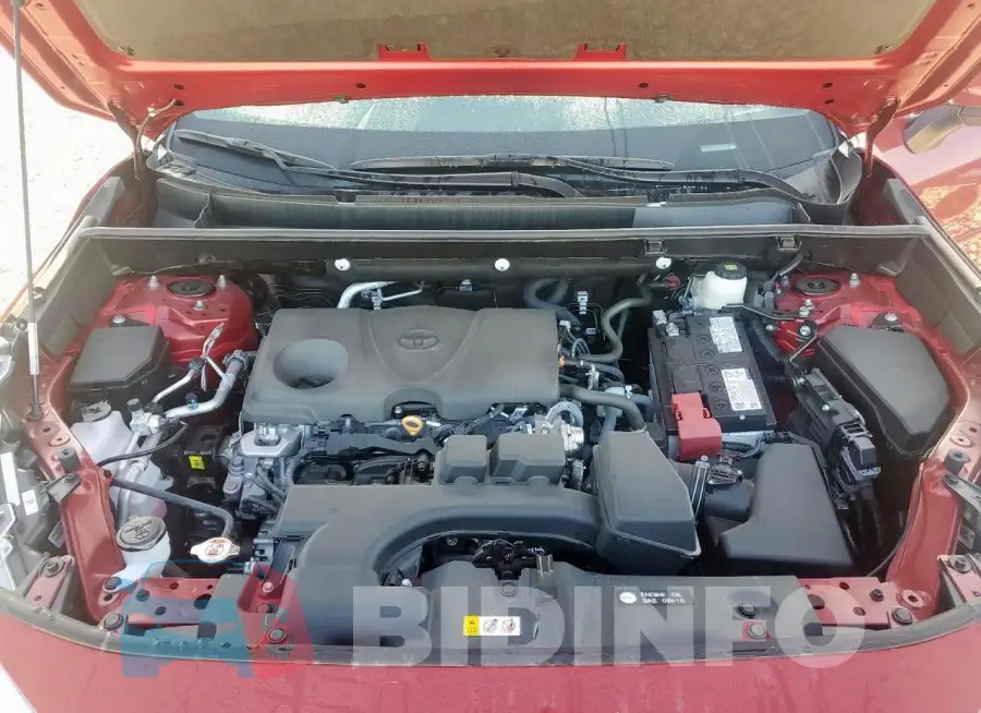 2T3Y1RFV5RW360381 Photo# 12