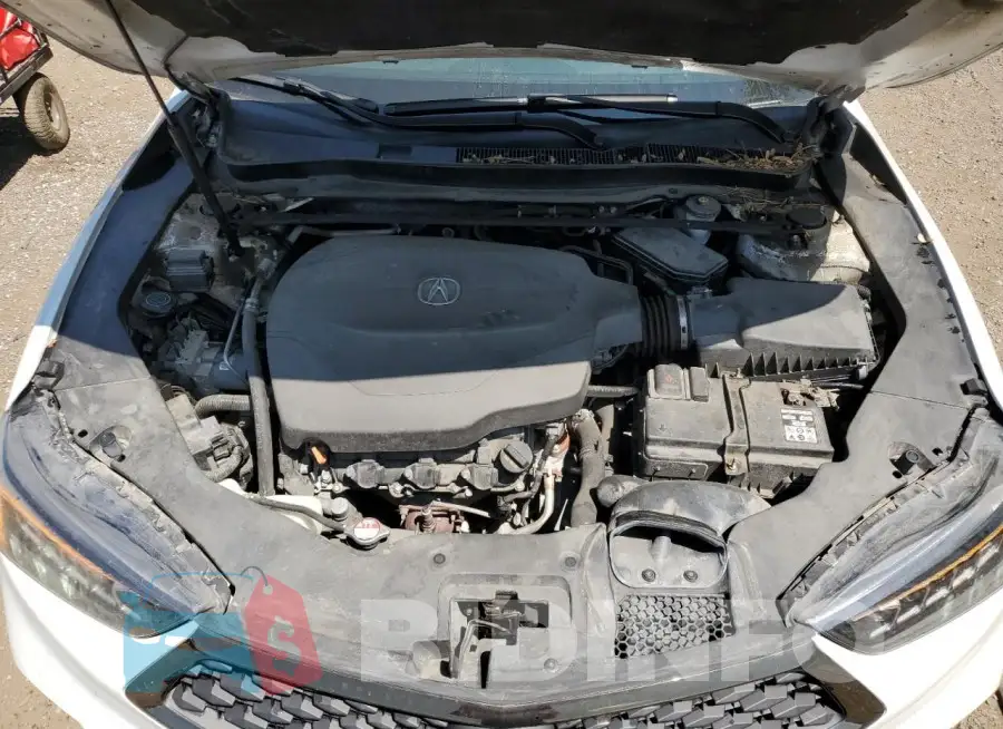 19UUB3F67KA801404 Photo# 11