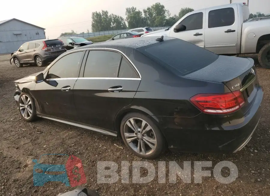 WDDHF8JB6GB229951 Photo# 2