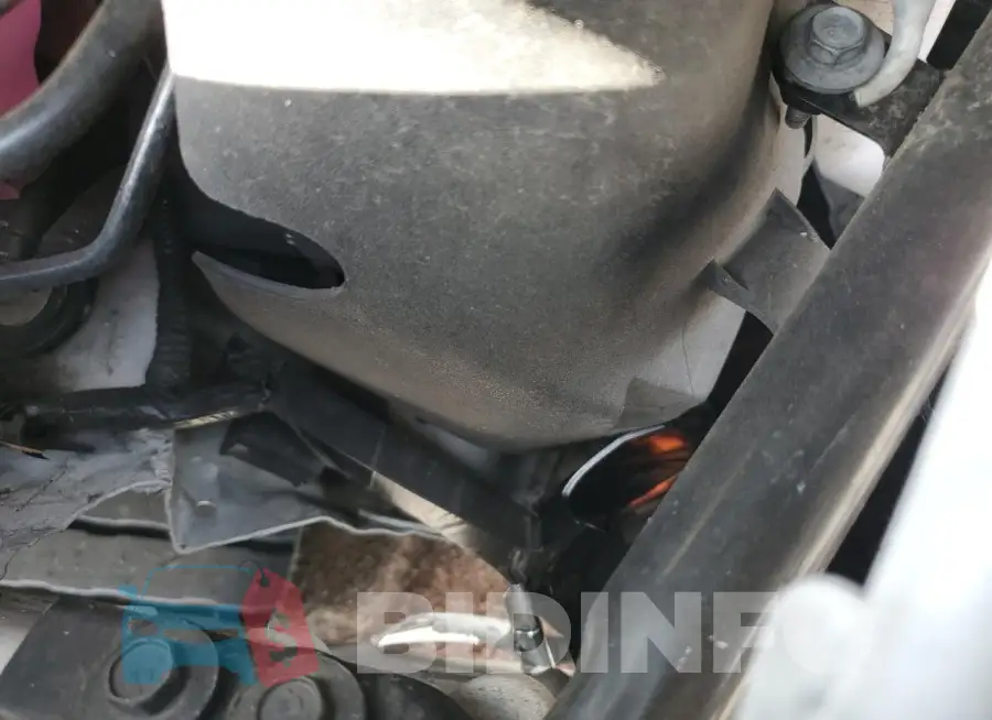2C4RC1L71MR599578 Photo# 12
