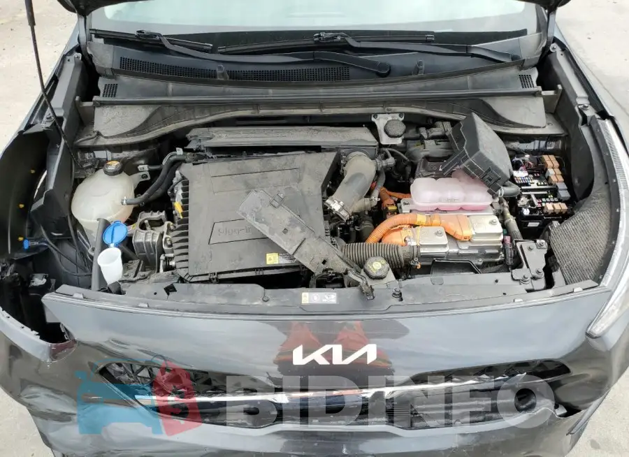 KNDCC3LDXN5537554 Photo# 12