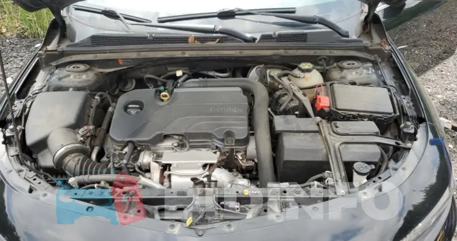 1G1ZD5ST0JF205549 Photo# 11