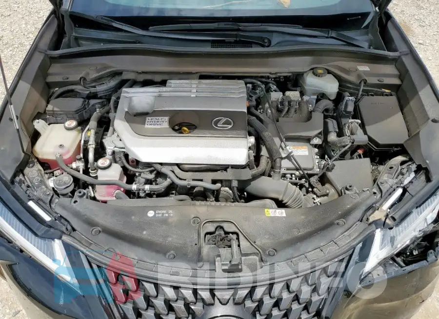 JTHU9JBH4K2011833 Photo# 12