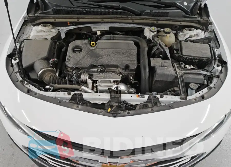 1G1ZD5ST3PF178159 Photo# 11