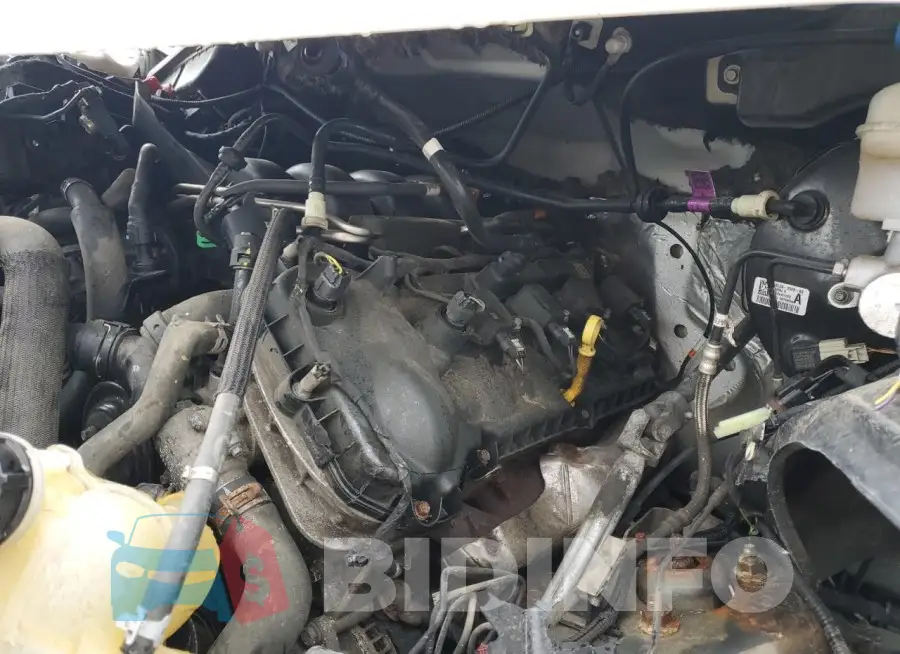 1FTFW1E52KFD45002 Photo# 11