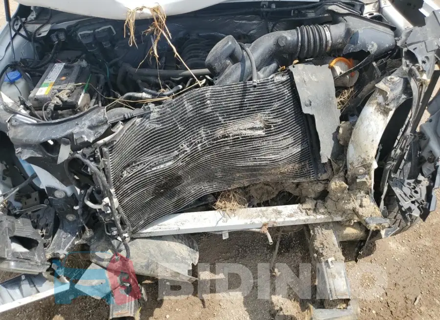 1FTFW1EF7GFC41217 Photo# 11