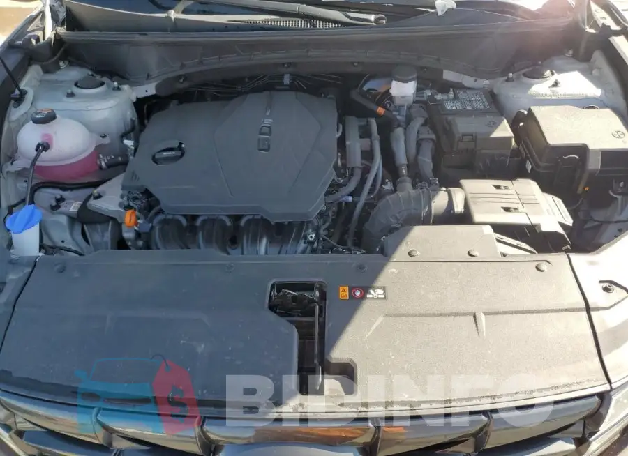 5NMJBCDE2RH306104 Photo# 12