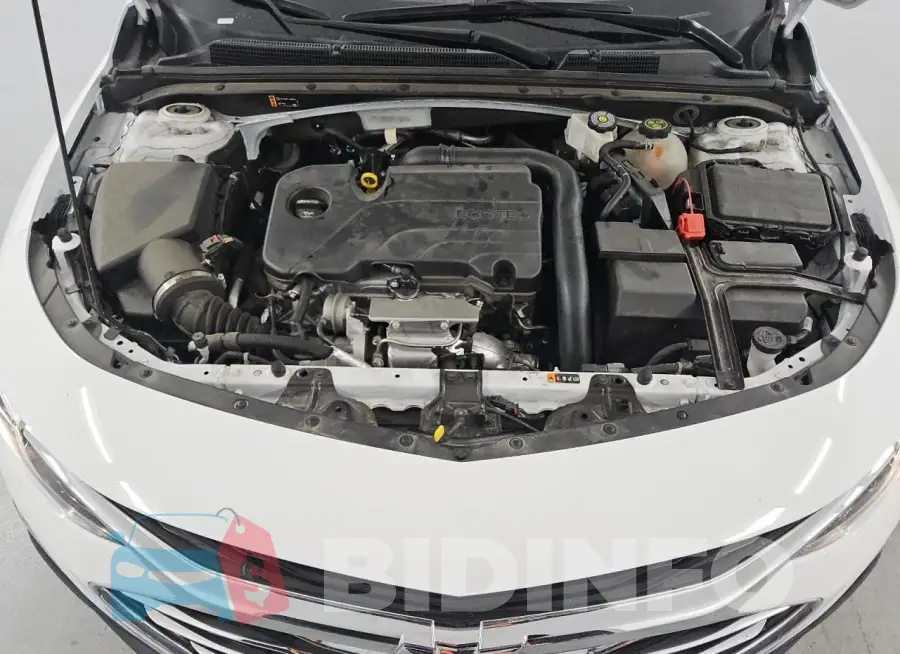 1G1ZD5ST6RF165876 Photo# 11
