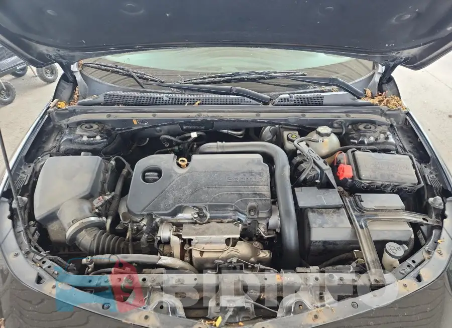 1G1ZD5ST8LF034133 Photo# 11