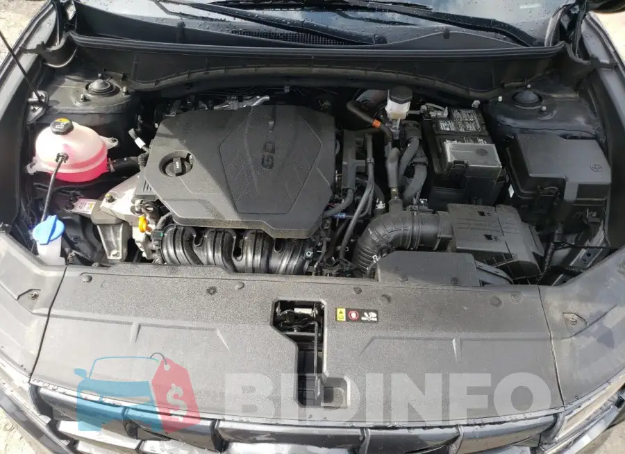 5NMJFCAE4PH179717 Photo# 11