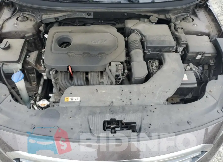 5NPE24AFXHH443636 Photo# 11