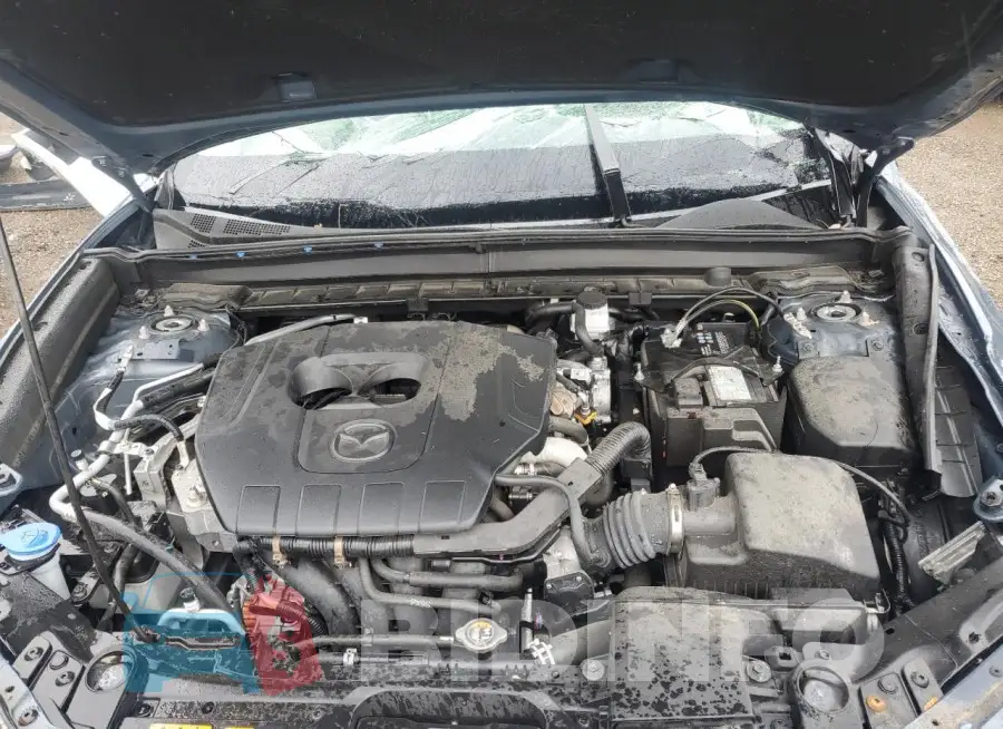 3MVDMBCMXRM655842 Photo# 11