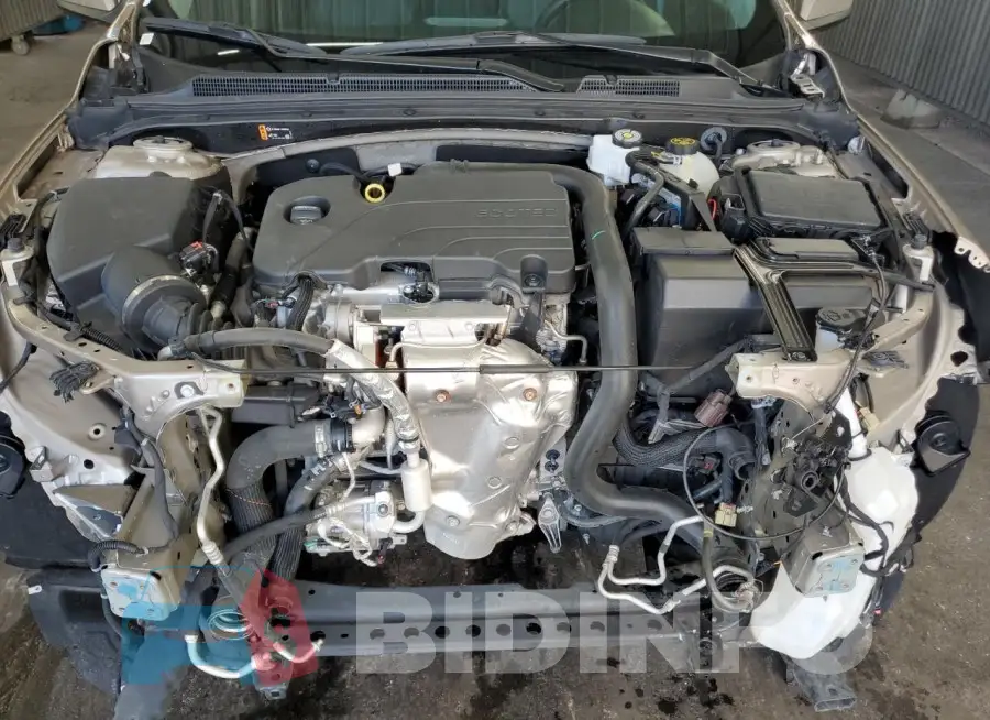 1G1ZE5ST5RF166384 Photo# 11