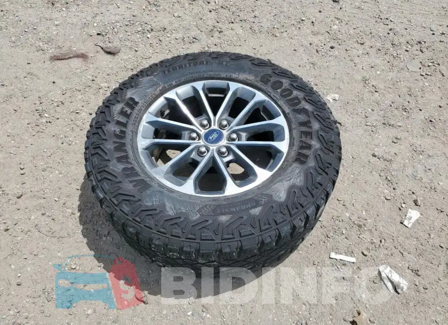 1FTEW1E52LKE86219 Photo# 12