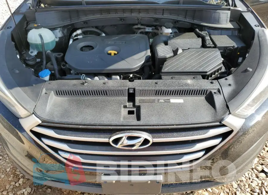 KM8J3CA43HU428031 Photo# 12