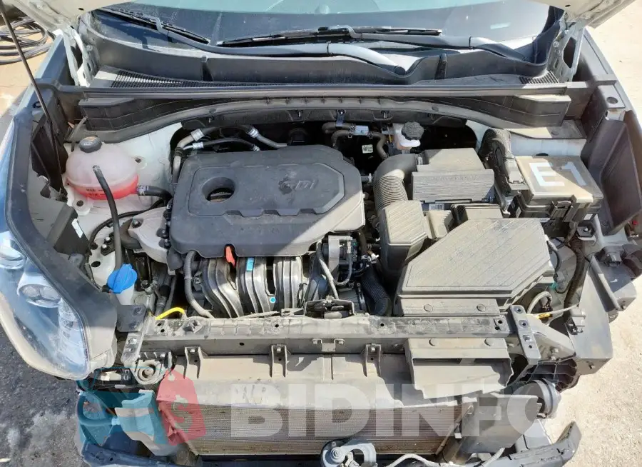 KNDP63AC8M7893152 Photo# 11