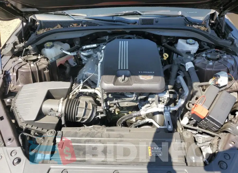 1G6DX5RK8M0107997 Photo# 11