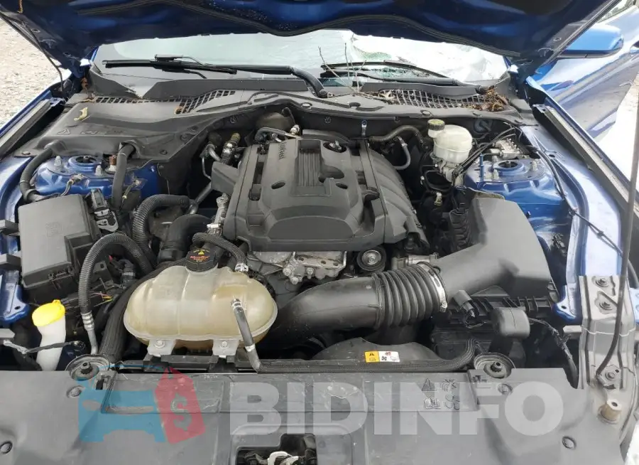 1FA6P8THXJ5101563 Photo# 11