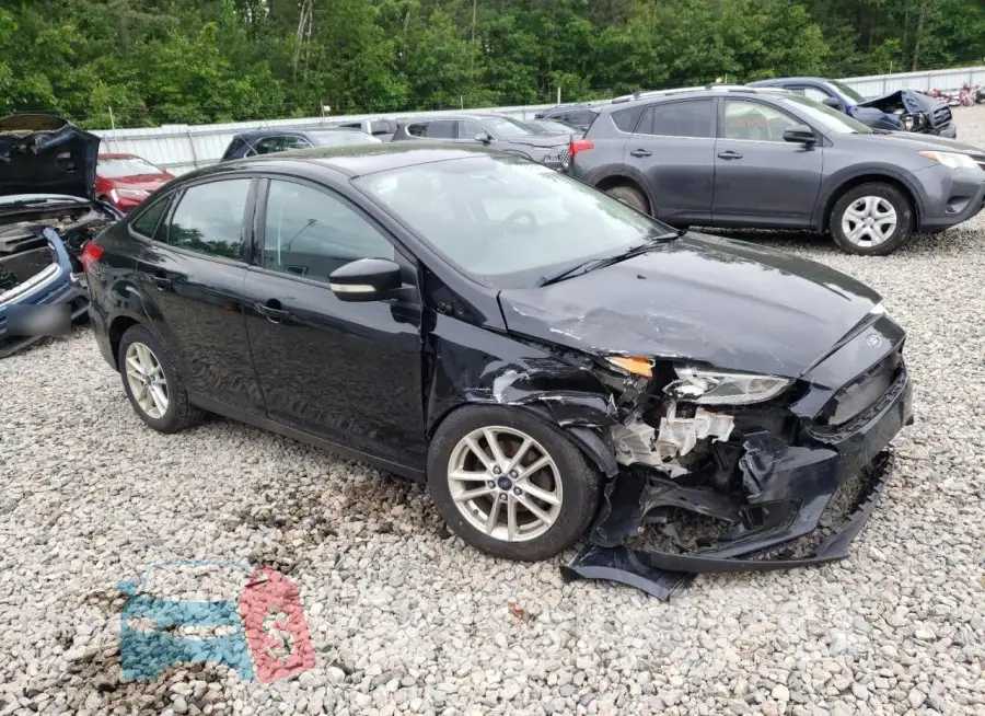1FADP3F20GL248125 Photo# 4