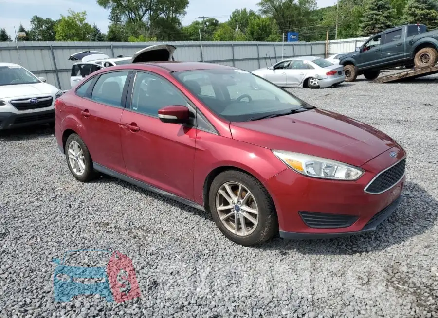 1FADP3F25HL220001 Photo# 4
