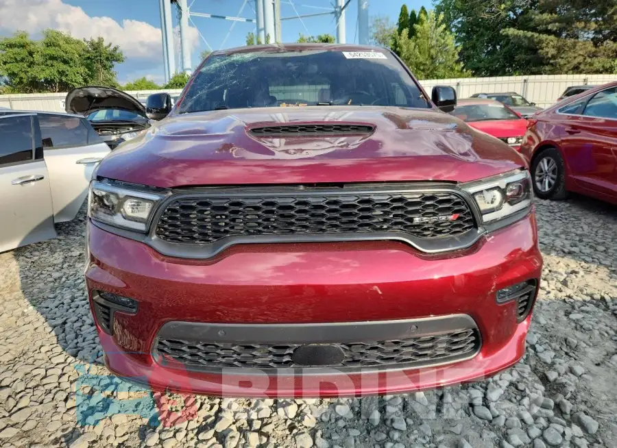 1C4SDJCT0PC588340 Photo# 5