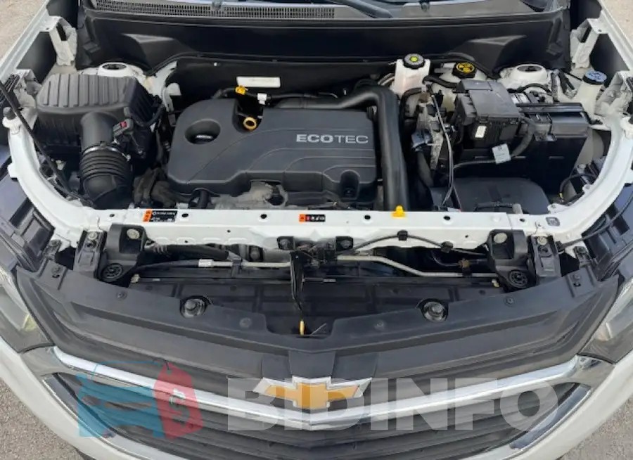2GNAXTEV4L6229936 Photo# 14