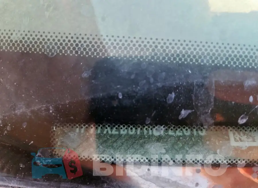 1FT7X2B67HEF22615 Photo# 12