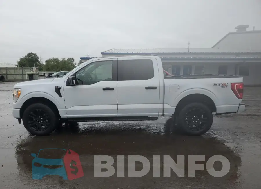 1FTEW1EP8MKD10987 Photo# 12
