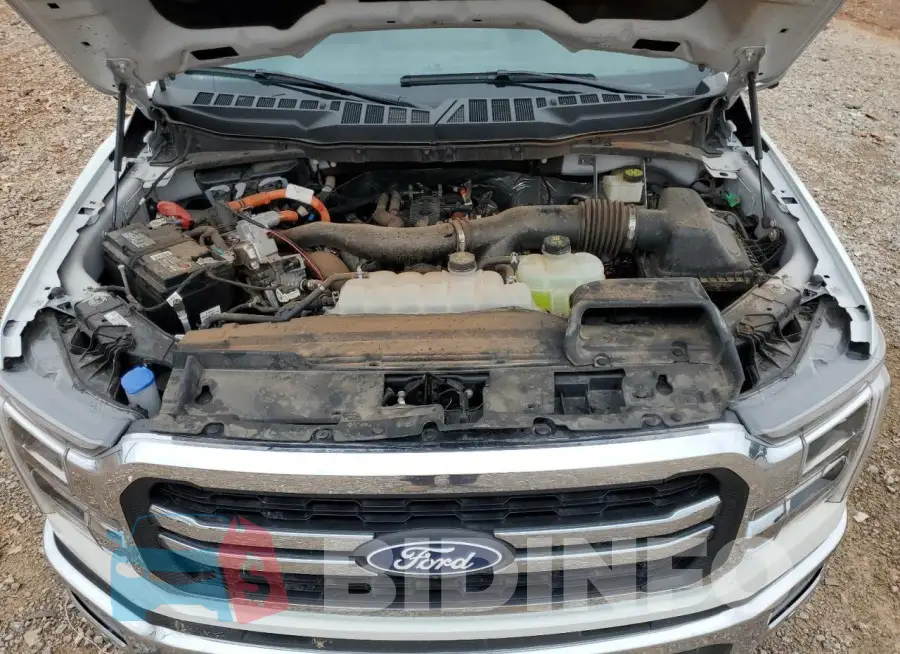 1FTFW5LD5RFC17977 Photo# 11