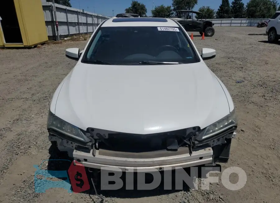 19UUB1F54GA000190 Photo# 5