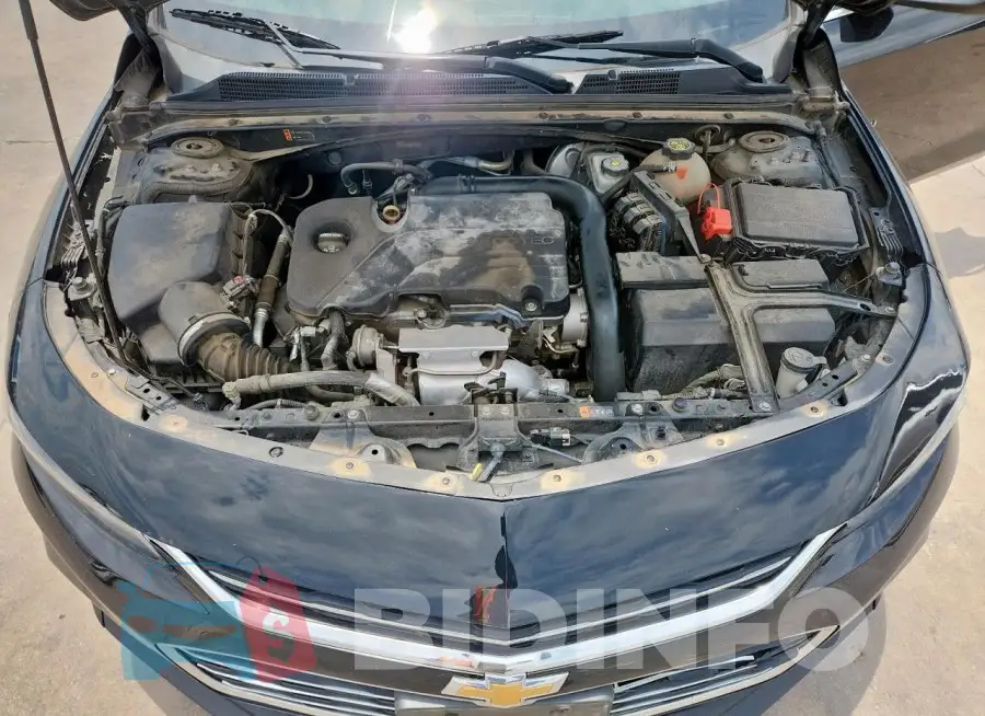 1G1ZE5ST3HF179715 Photo# 11
