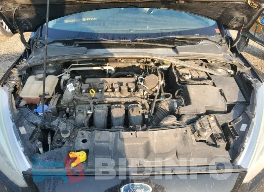 1FADP3F21GL267881 Photo# 11
