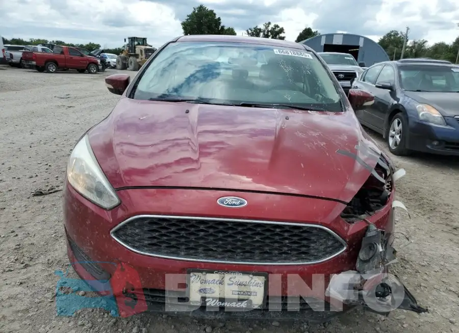 1FADP3F21HL277019 Photo# 5