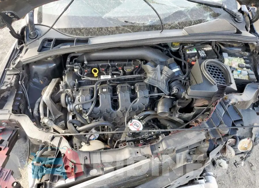 1FADP3L98GL262565 Photo# 11
