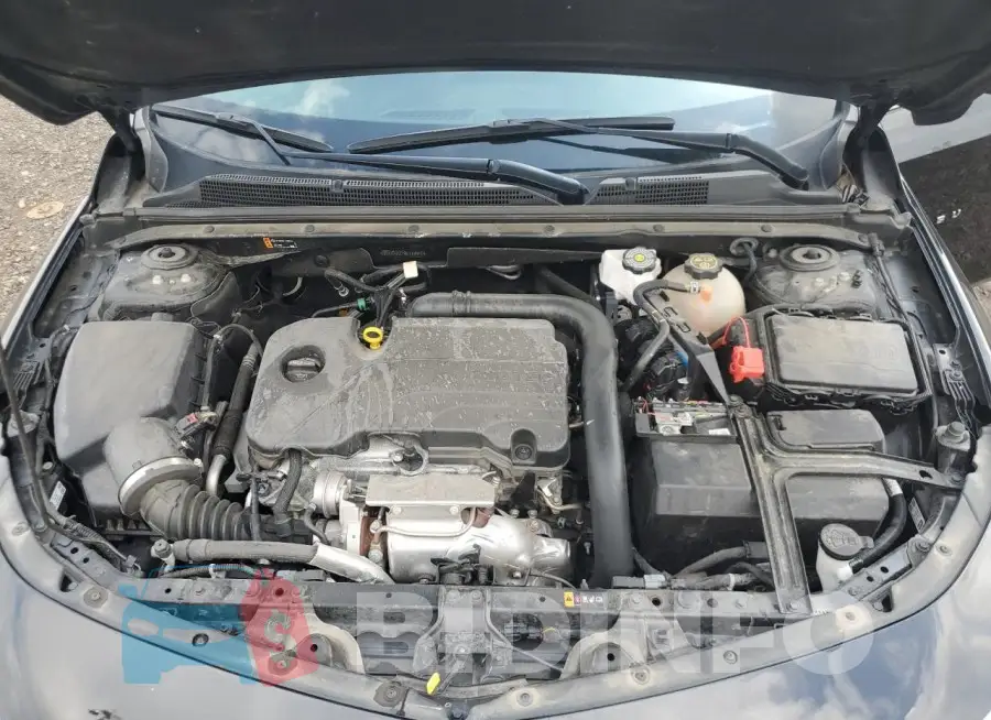 1G1ZD5ST7RF118940 Photo# 11