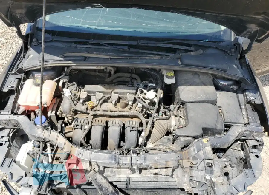 1FADP3E20HL344422 Photo# 11