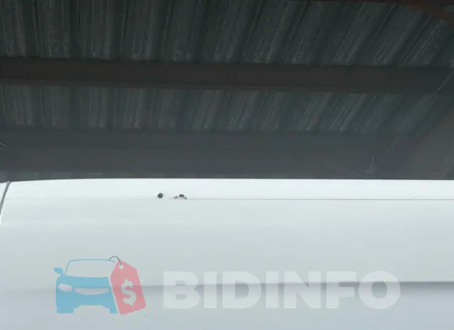 WD4PF4CD1KP044852 Photo# 12