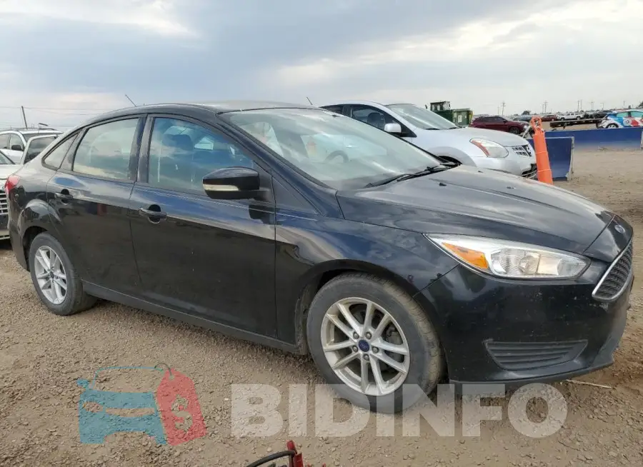 1FADP3F25HL263463 Photo# 4